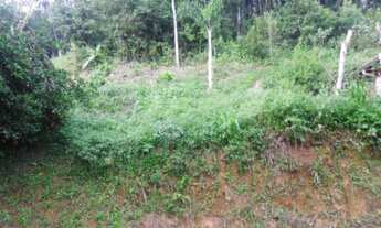 Imagem 3: EXCELENTE TERRENO COM PLATÔ - COD: 2894 - CESAR F:(11) 97302-9229