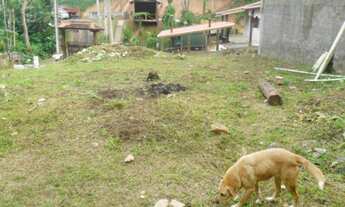 Imagem 4: EXCELENTE TERRENO COM PLATÔ - COD: 2894 - CESAR F:(11) 97302-9229