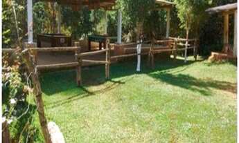 Imagem 3: Chácara com ponto comercial cod: 3753