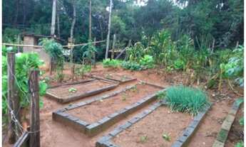 Imagem 4: Chácara com ponto comercial cod: 3753