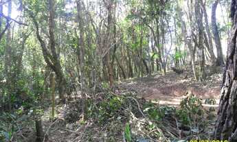 Imagem: CHACARA RURAL em SÃO LOURENÇO DA SERRA
