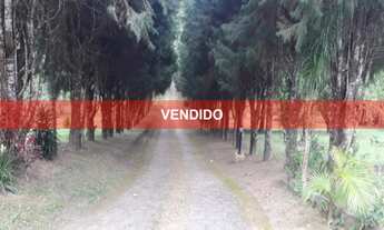 Imagem: ESPETACULAR CHÁCARA COM LAGO E PISCINA