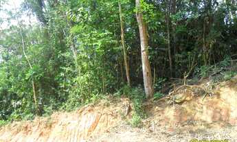 Imagem 4: Excelente Terreno no Centro Área Nobre Cod: 4260 Cesar f:(11) 97302 - 9229