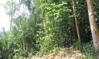 Imagem 5: Excelente Terreno no Centro Área Nobre Cod: 4260 Cesar f:(11) 97302 - 9229