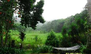 Imagem 2: Sítio Com Lago E Piscina - Cod: 2696 - Cesar f:(11) 97302 - 9229