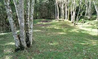 Imagem 6: Excelente Chácara Plana Com Lago Cod: 4400 f:(11) 97302 - 9229 Cesar