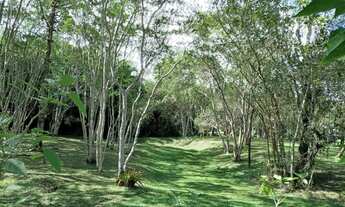 Imagem 7: Excelente Chácara Plana Com Lago Cod: 4400 f:(11) 97302 - 9229 Cesar