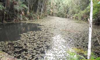 Imagem: Excelente Sítio Com Lagos E Nascentes Cod