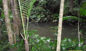 Imagem 5: Excelente Sítio Com Lagos E Nascentes Cod:4423 f:(11) 97302 - 9229 Cesar