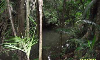 Imagem 4: Excelente Sítio Com Lagos E Nascentes Cod:4423 f:(11) 97302 - 9229 Cesar