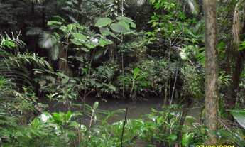 Imagem 6: Excelente Sítio Com Lagos E Nascentes Cod:4423 f:(11) 97302 - 9229 Cesar