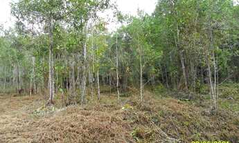 Imagem 2: Excelente Terreno Próximo Da Represa Cod: 4430 f:(11) 97302 - 9229 Cesar