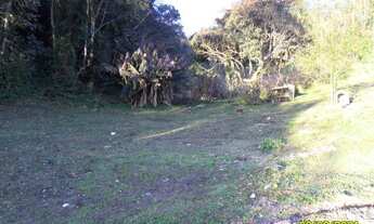 Imagem: Excelente Terreno para Investidores Cod