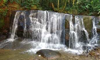 Imagem: Sítio em Ibiúna Com Cachoeira E Piscina