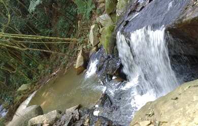 Imagem 3: Sítio em Ibiúna Com Cachoeira E Piscina Natural Cod 4488 f:(11) 97302 - 9229 Cesar