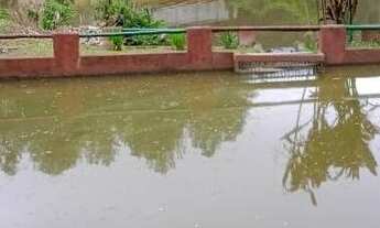 Imagem 2: Excelente Sítio em Juquitiba Ideal para Eventos Cod: 4496 f:(11) 97302 - 0929