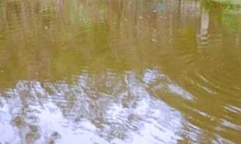 Imagem: Excelente Sítio em Juquitiba Ideal para