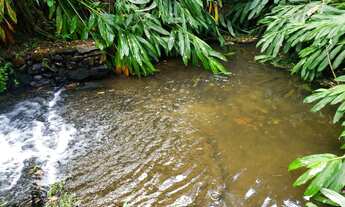 Imagem 5: Chácara Com Cachoeira em Juquitiba Cód.: 4528 f:(11) 97302 - 9229 Cesar