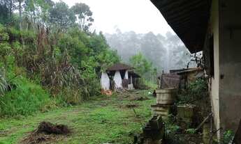 Imagem 4: Chácara Com 26.000 m² em Juquitiba Cód.: 4529 f:(11) 97302 - 9229 Cesar