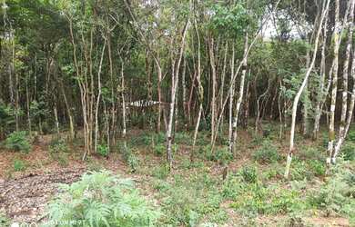 Imagem 6: Chácara em Juquitiba Cód.: 4545 f:(11) 97302 - 9229 Cesar