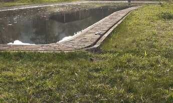 Imagem 3: Excelente Sítio 13 Alqueires, Com Lago em Juquitiba Cod: 4559 f:(11) 97302 - 9229 CESAR