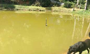 Imagem 2: Excelente Chácara Com Lagos em Juquitiba Cód.: 4567 f:(11) 97302 - 9229 Cesar