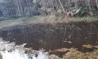 Imagem: Excelente Sítio 13 Alqueires, Com Lago