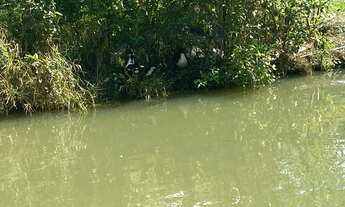 Imagem 4: Super Fazenda em Miracatu - SP - Porteira Fechada Cód.: 4624 f:(11) 97302 - 9229 CESAR