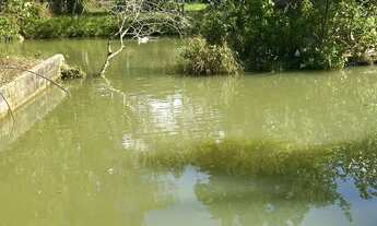 Imagem: Super Fazenda em Miracatu - SP - Porteira