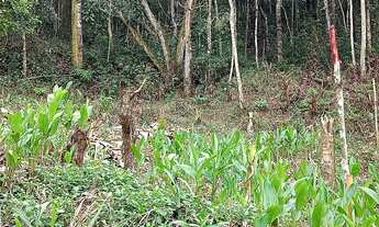 Imagem: Excelente Terreno Próximo Ao Pedágio Cód