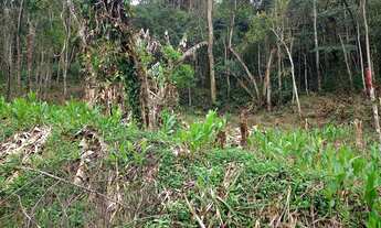 Imagem 3: Excelente Terreno Próximo Ao Pedágio Cód.: 4633 f:(11) 97302 - 9229 Cesar