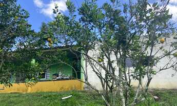 Imagem 7: Super Fazenda em Miracatu - SP - Porteira Fechada Cód.: 4624 f:(11) 97302 - 9229 CESAR