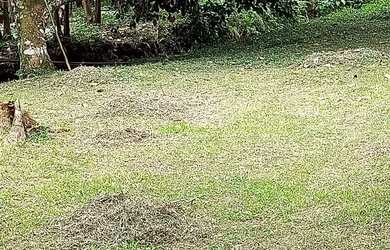 Imagem 5: EXCELENTE SÍTIO PARA PRODUTORES DE BANANA E GADO COD: 4697 F:(11) 97302-9229 CESAR