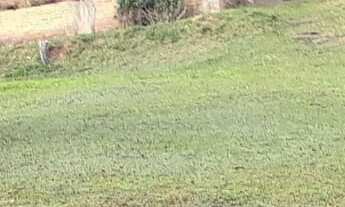 Imagem 3: EXCELENTE CHÁCARA COM PISCINA , NASCENTE E LAGOS COD: 4750 F:(11) 97302-9229 CESAR