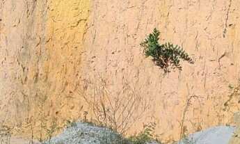 Imagem 3: TERRENO PRONTO PARA CONSTRUIR COD: 4729 F:(11) 97302-9229 CESAR