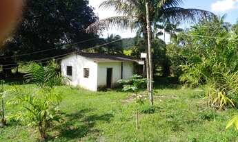 Imagem 5: Propriedade rural em Miracatu,SP COD: 4731 F:(11) 97302-9229 CESAR