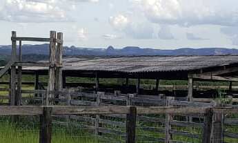 Imagem 6: EXCELENTE FAZENDA ALTO BONITO. (Rancharia) COD: 4733 F:(11) 97302-9229 CESAR