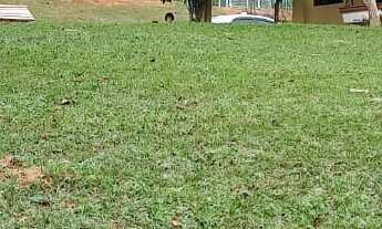 Imagem 2: EXCELENTE CHÁCARA COM PISCINA, LAGOS,NASCENTES COD: 4782 F:(11) 97302-9229 CESAR