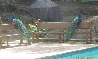 Imagem 4: BELÍSSIMA CHACARA PARA EVENTOS COD: 4766 F:(11) 97302-9229 CESAR