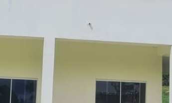 Imagem 1: EXCELENTE CHÁCARA COM PISCINA E LAGOS COD: 4802