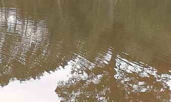 Imagem 6: EXCELENTE CHÁCARA COM PISCINA E LAGOS COD: 4814