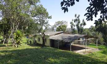 Imagem: SITIO PÉ DE JAMBO EM JUQUITIBA PARA INVESTIDORES