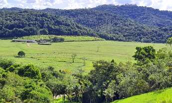 Imagem: Excelente Fazenda em Jacupiranga SP COD