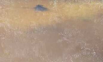 Imagem: EXCELENTE SÍTIO AS MARGENS DA RODOVIA COD