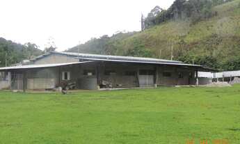 Imagem 4: ÓTIMO PESQUEIRO EM MIRACATU COD: 4834