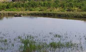 Imagem 5: EXCELENTE SÍTIO AS MARGENS DA RODOVIA COD: 4816