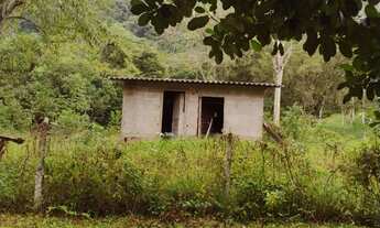 Imagem 5: EXCELENTE SÍTIO COM NASCENTE E LAGO COD: 4815