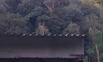 Imagem 7: EXCELENTE SÍTIO AS MARGENS DA RODOVIA COD: 4816