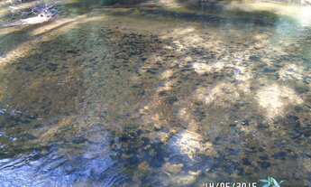 Imagem 3: Lindo sítio à venda cód.: 4825