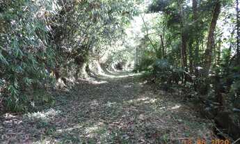 Imagem 6: Lindo sítio à venda cód.: 4825